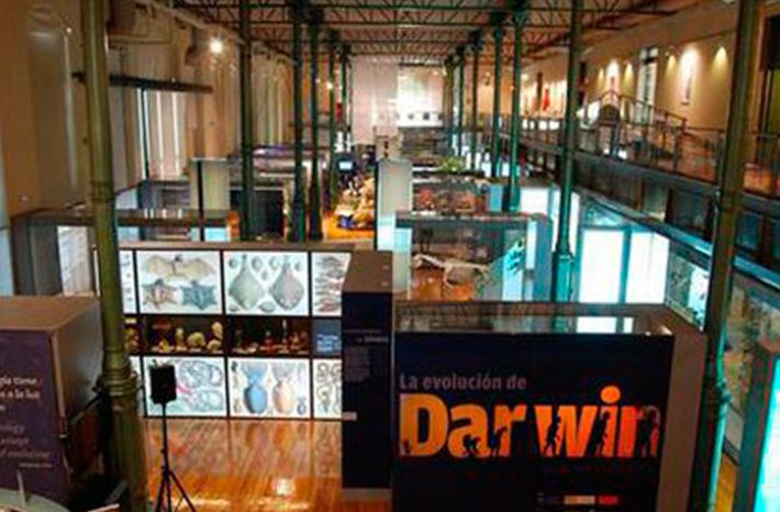 museo militar darwin